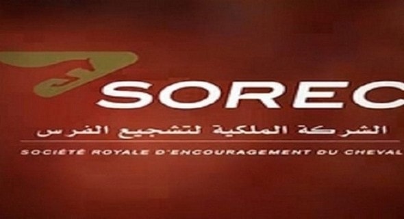 الشركة الملكية لتشجيع الفرس: مباراة توظيف 01 تقني مكلف بأرضية الخيول. آخر أجل هو 06 يونيو 2023